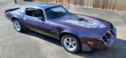 1981 Pontiac Firebird