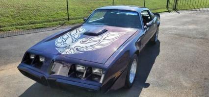 1981 Pontiac Firebird