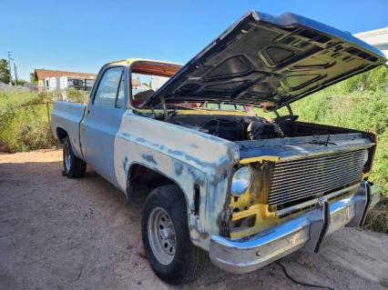 1978 Chevrolet Cheyenne