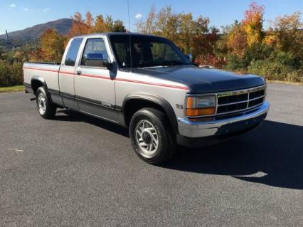 1993 Dodge Dakota