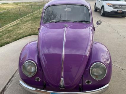 1966 Volkswagen Beetle