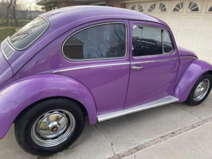 1966 Volkswagen Beetle