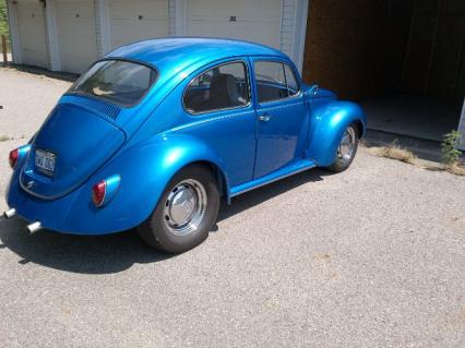 1971 Volkswagen Super Beetle