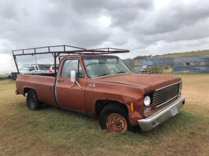 1978 Chevrolet C20