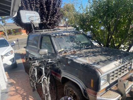 1985 Ford Bronco