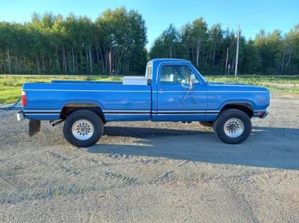 1978 Dodge D200