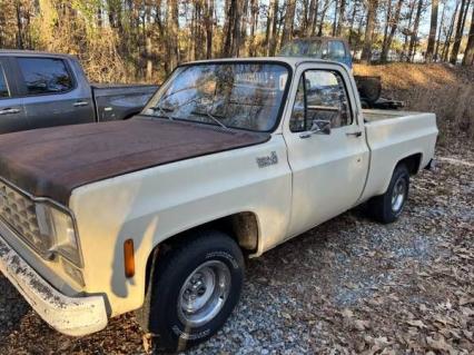 1976 Chevrolet C10