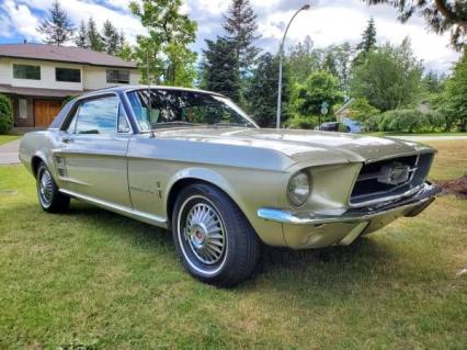 1967 Ford Mustang