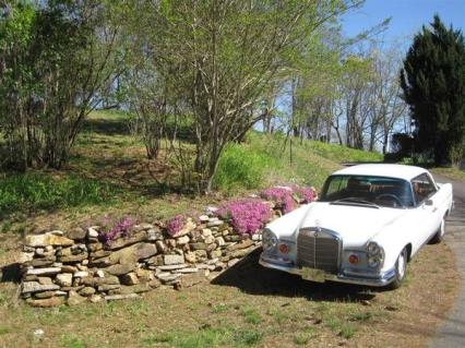 1966 Mercedes Benz 220SE