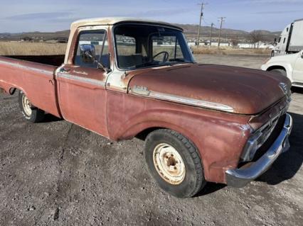 1964 Ford F100