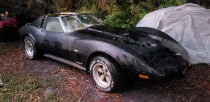 1977 Chevrolet Corvette