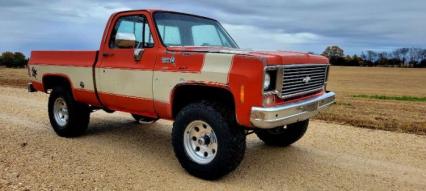 1978 Chevrolet Silverado