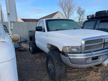 1995 Dodge Pickup