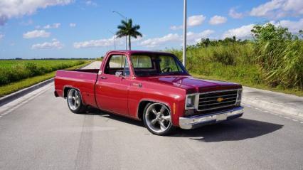 1976 Chevrolet C10