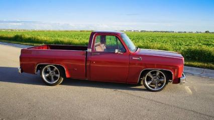 1976 Chevrolet C10