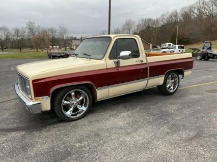 1981 GMC C15