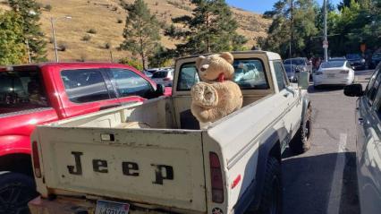 1979 Jeep J10