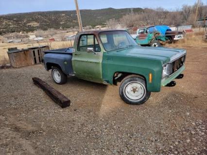 1976 Chevrolet C10