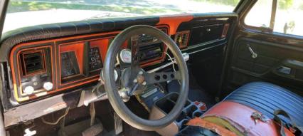 1978 Ford F100