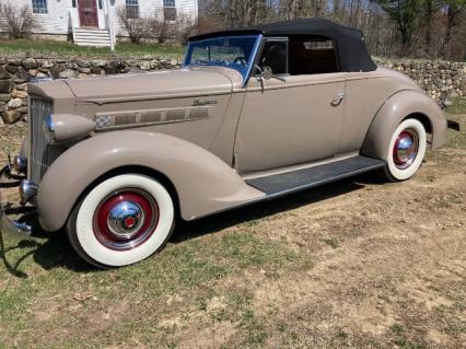 1937 Packard Roadster