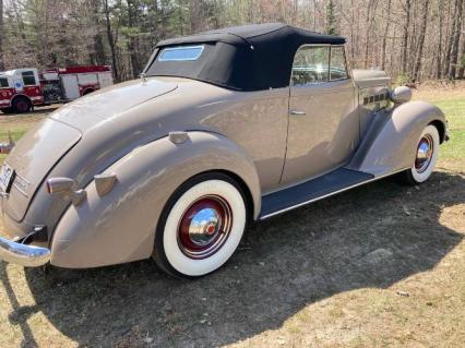 1937 Packard Roadster