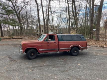 1980 Ford F100