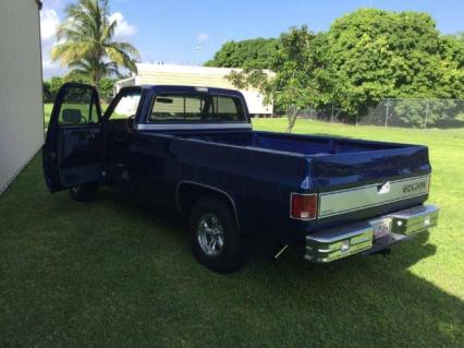 1982 Chevrolet Silverado