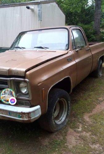 1979 Chevrolet C10