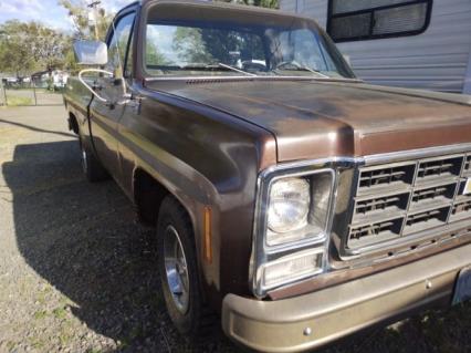 1979 Chevrolet C10