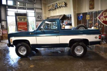 1979 Chevrolet Blazer