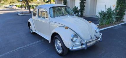 1968 Volkswagen Beetle