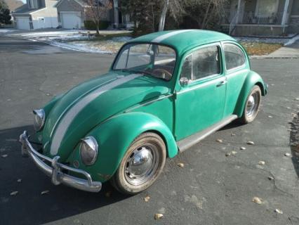 1965 Volkswagen Beetle