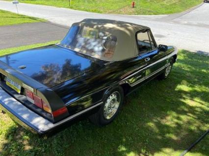 1987 Alfa Romeo Graduate Spider