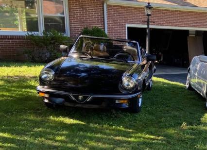 1987 Alfa Romeo Graduate Spider