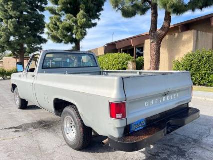 1979 Chevrolet Pickup