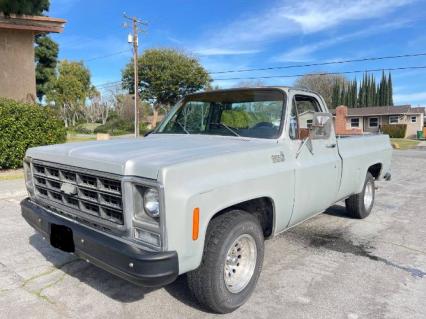 1979 Chevrolet Pickup