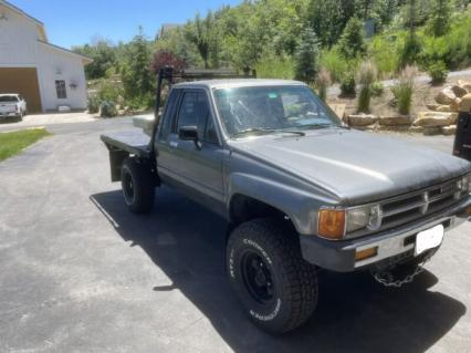 1987 Toyota Pickup