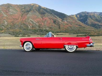 1956 Ford Thunderbird