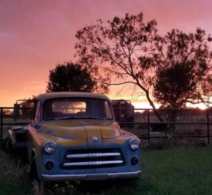 1954 Dodge D6