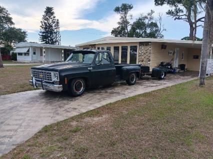 1976 Chevrolet C10