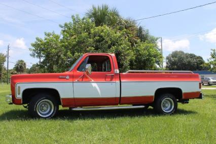 1977 Chevrolet C10