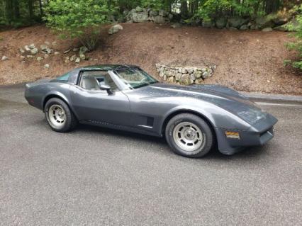 1981 Chevrolet Corvette