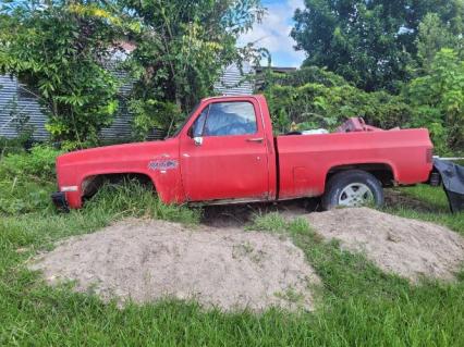 1978 Chevrolet C10