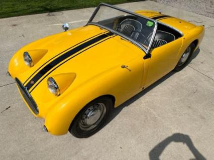 1959 Austin Healey Sprite