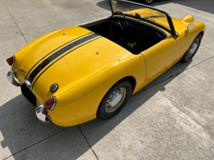 1959 Austin Healey Sprite