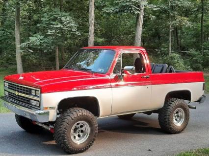 1989 Chevrolet Blazer