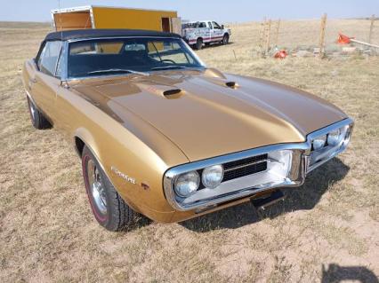 1967 Pontiac Firebird