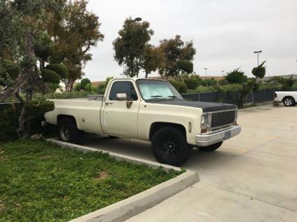 1974 Chevrolet C20