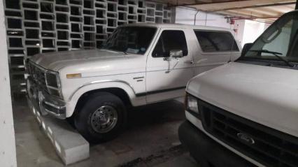 1986 Ford Bronco