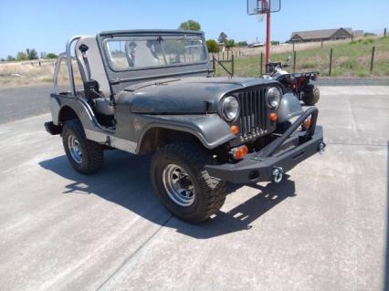 1956 Willys Jeep